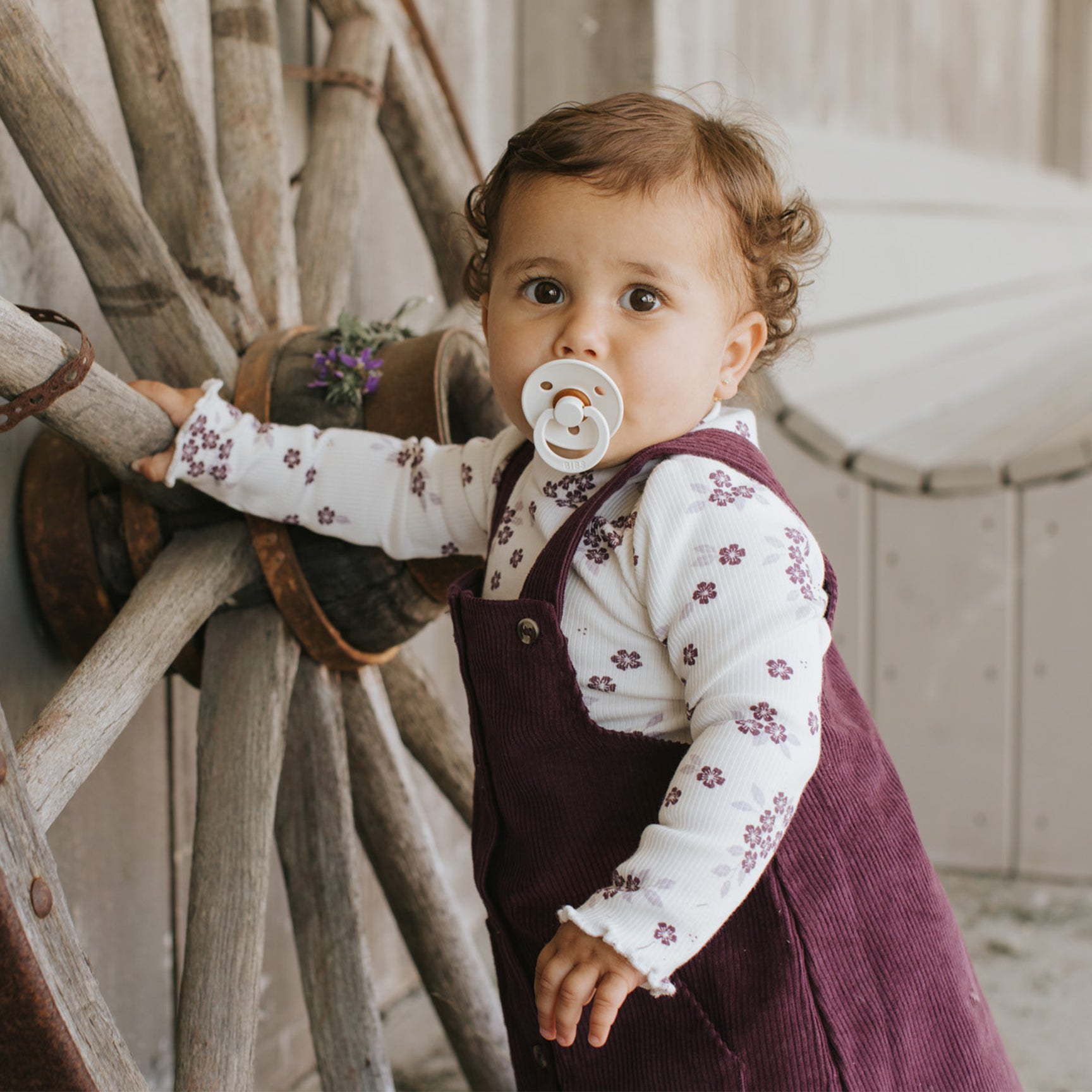 Firsts by Petit Lem Girls' Mockneck & Corduroy Overalls Dress Set - Baby - Purple - Size 24 Months - Dark Purple Firsts by Petit Lem Girls' Mockneck & Corduroy Overalls Dress Set - Baby - Purple - Size 24 Months - Dark Purple