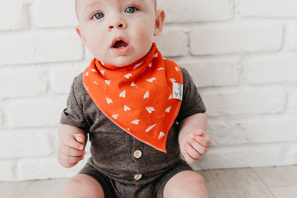 
                  
                    Ace Bandana Bib Set
                  
                