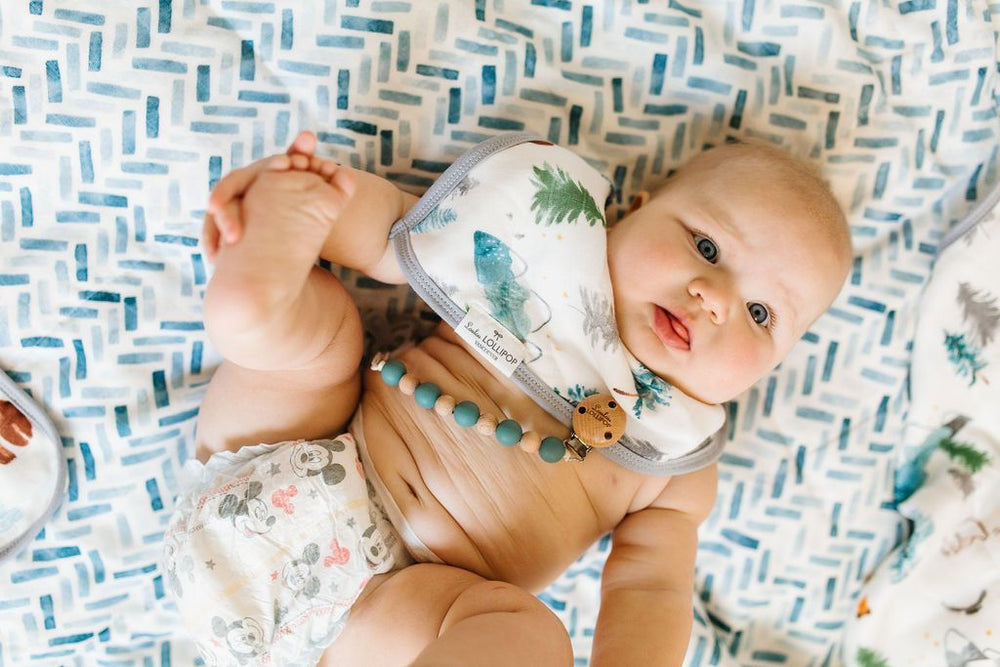 
                  
                    Muslin Bandana Bib Set - Adventure Begins
                  
                