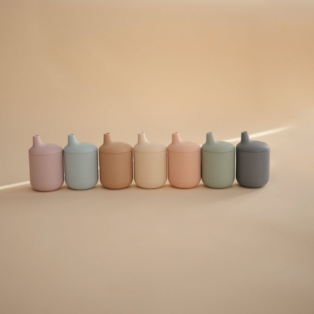 
                  
                    Silicone Sippy Cup (Blush)
                  
                