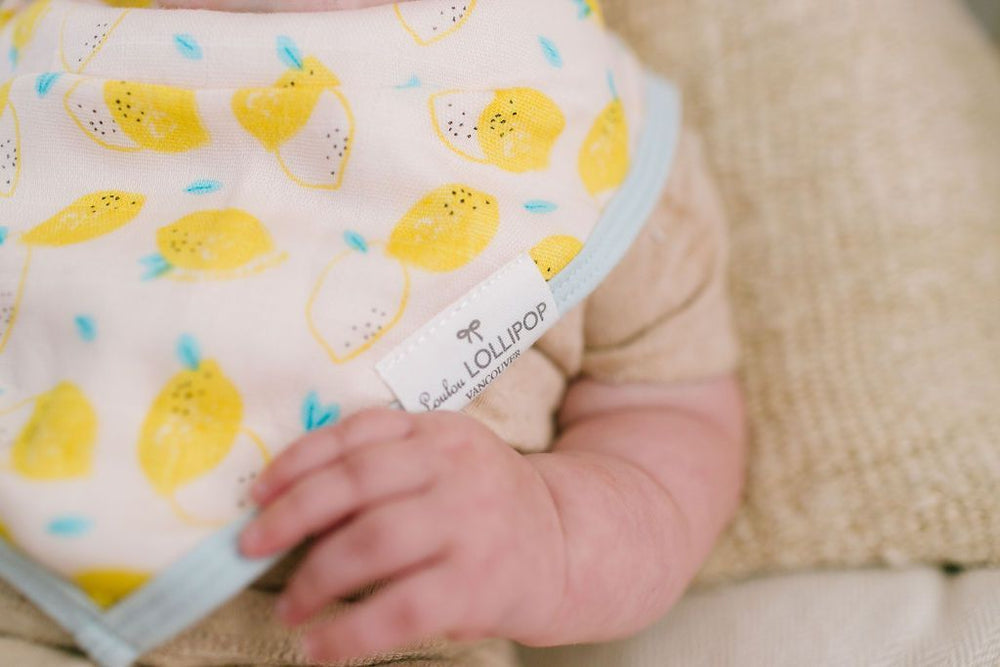 
                  
                    Muslin Bandana Bib Set - Cutie Fruits
                  
                
