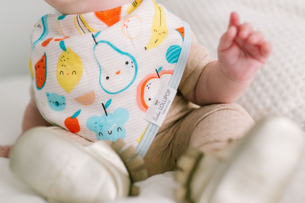 
                  
                    Muslin Bandana Bib Set - Cutie Fruits
                  
                