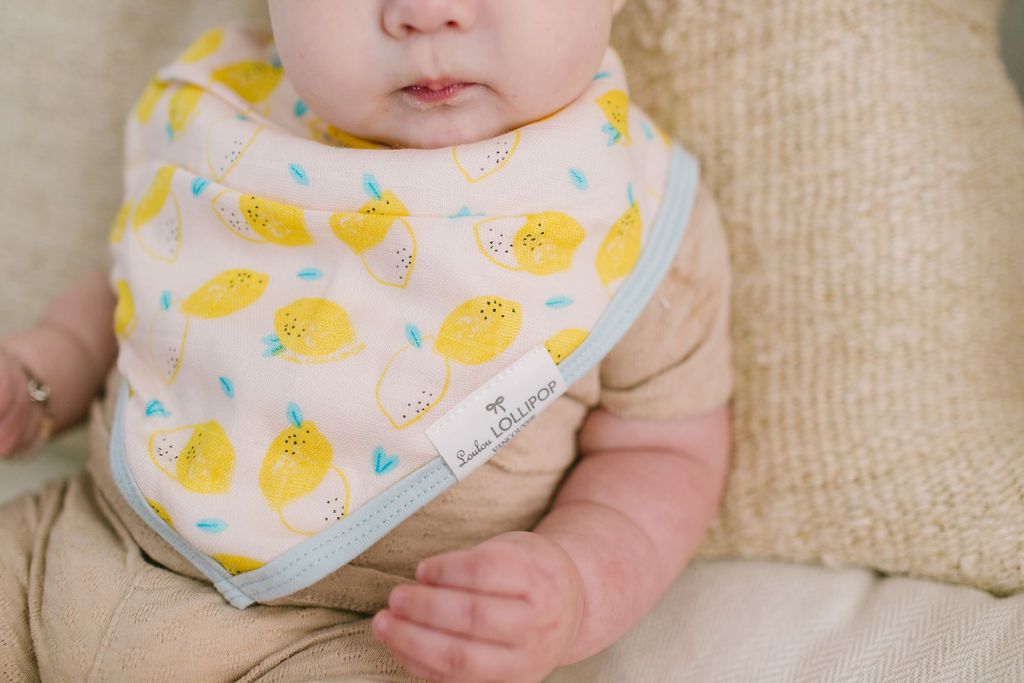 
                  
                    Muslin Bandana Bib Set - Cutie Fruits
                  
                
