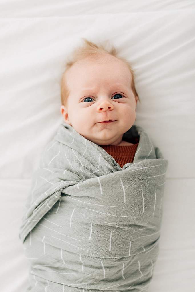 
                  
                    Desert Sage Muslin Swaddle Blanket
                  
                
