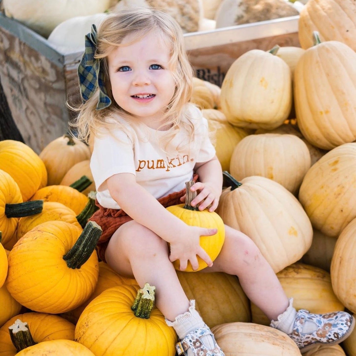 
                  
                    Pumpkin Organic Cotton Kid's Graphic Tee
                  
                