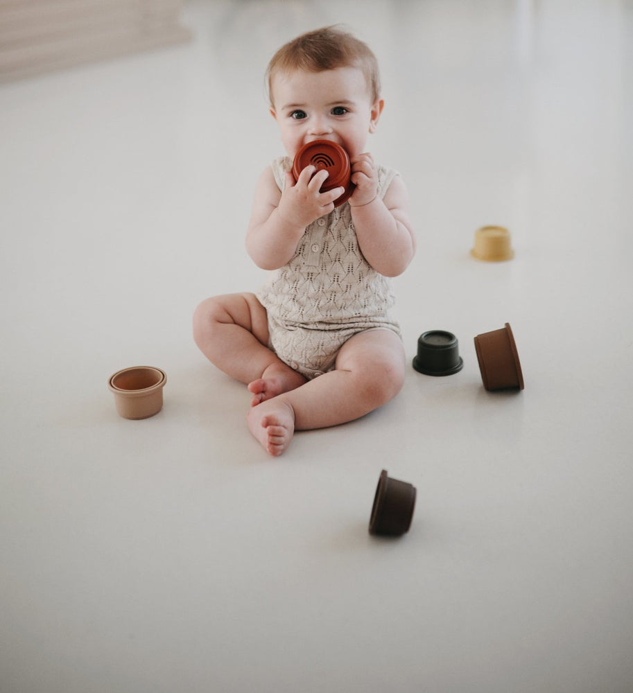 
                  
                    Stacking Cups Toy (Retro)
                  
                