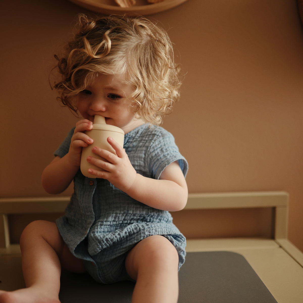 
                  
                    Silicone Sippy Cup (Shifting Sand)
                  
                